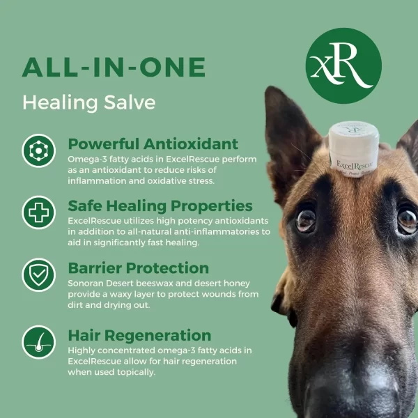 Excel Rescue all in one healing salve