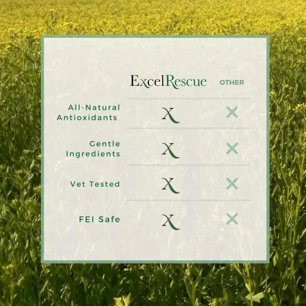 Excel Rescue healing salve ingredients