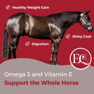 ExcelEQ Omega3 Supplements