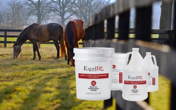 ExcelEQ Supplements for Horses and dogs