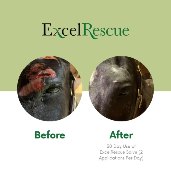 Excel Rescue Salve Before and After