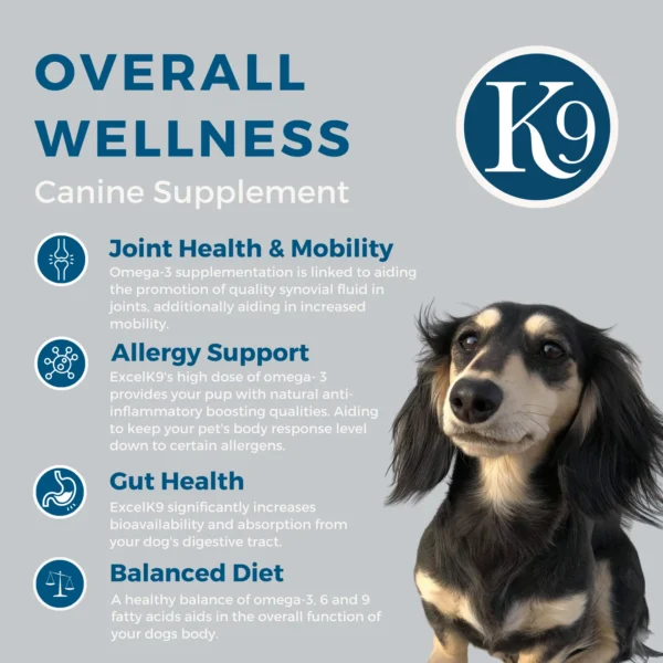 Excel Canine Supplements Wellness