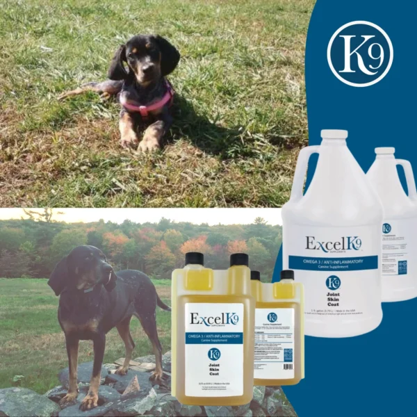 Excel K9 Wellness Supplements