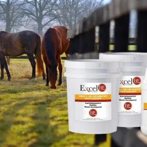 ExcelEQ ProElite Equine Supplements