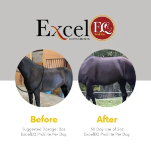 ExcelEQ ProElite Supplements After Care