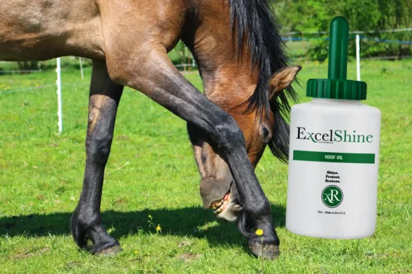 Excel Rescue Hoof Oil is ExcelShine™