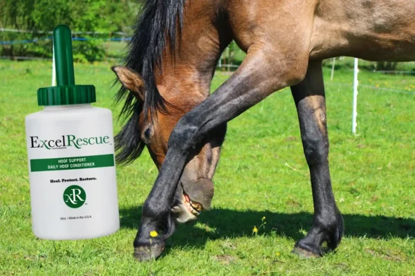 Excel Rescue Hoof Support