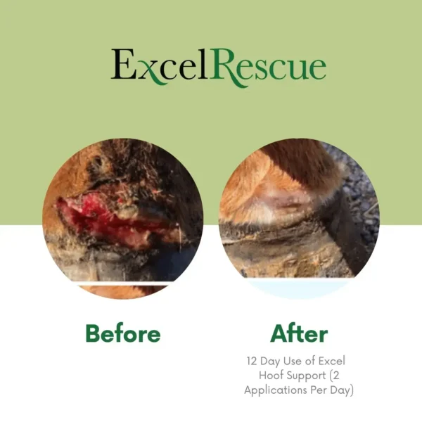 Excel Rescue Hoof Support Works Fast