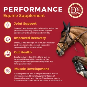 ExcelEQ ProElite Horse Performance Before and After